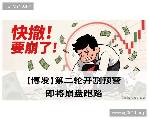 全面解析“博发资金盘”骗局的真相与风险防范指南